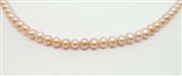 Collier Lorenza Gioielli Femme Perle in Perles Perla CL456787 - CL456787